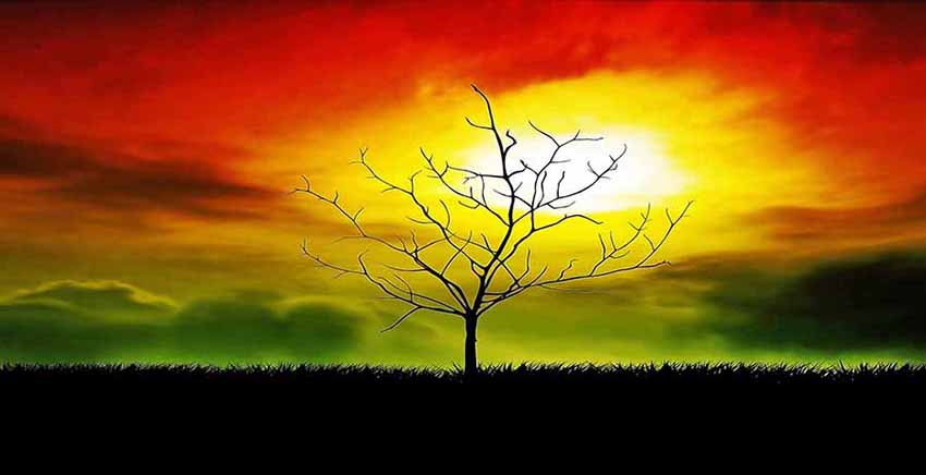 Landscape Canvas Wall Art Canvas Print