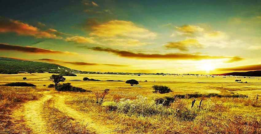 Landscape Canvas Wall Art Canvas Print