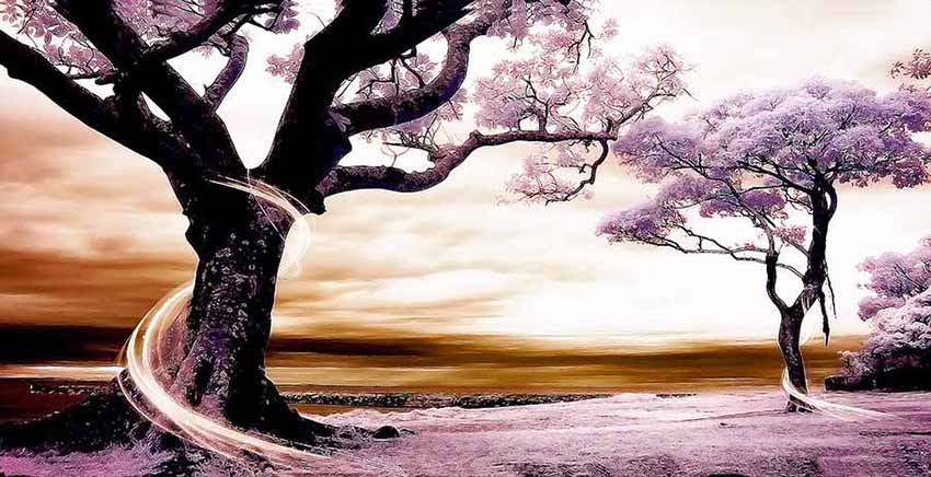 Landscape Canvas Wall Art Canvas Print