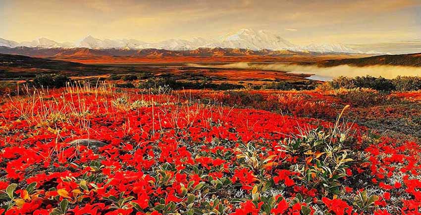 Canvas Wall Art Canvas Print Landscape
