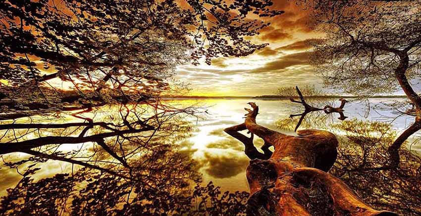 Canvas Wall Art Canvas Print Landscape