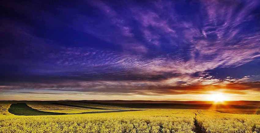 Landscape Canvas Wall Art Canvas Print