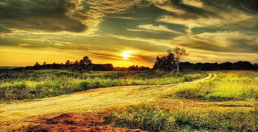 Landscape Canvas Wall Art Canvas Print