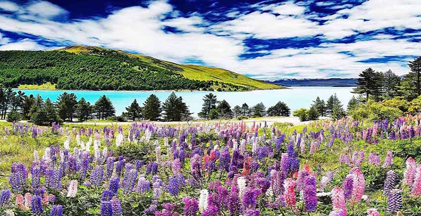 Canvas Wall Art Canvas Print Landscape
