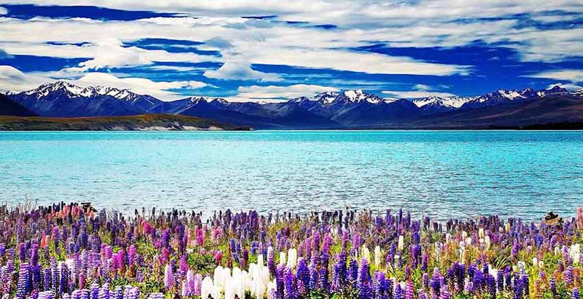 Landscape Canvas Wall Art Canvas Print