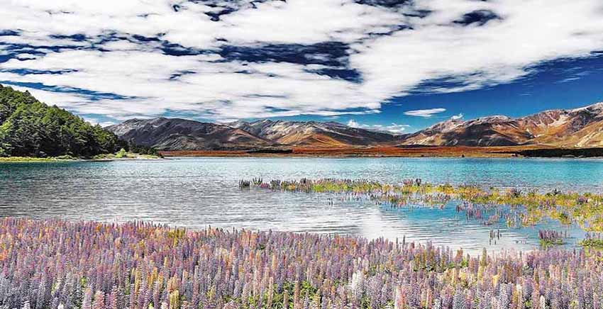 Landscape Canvas Wall Art Canvas Print