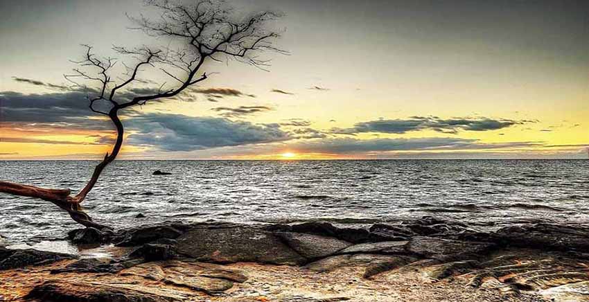 Landscape Canvas Wall Art Canvas Print