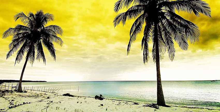 Landscape Canvas Wall Art Canvas Print