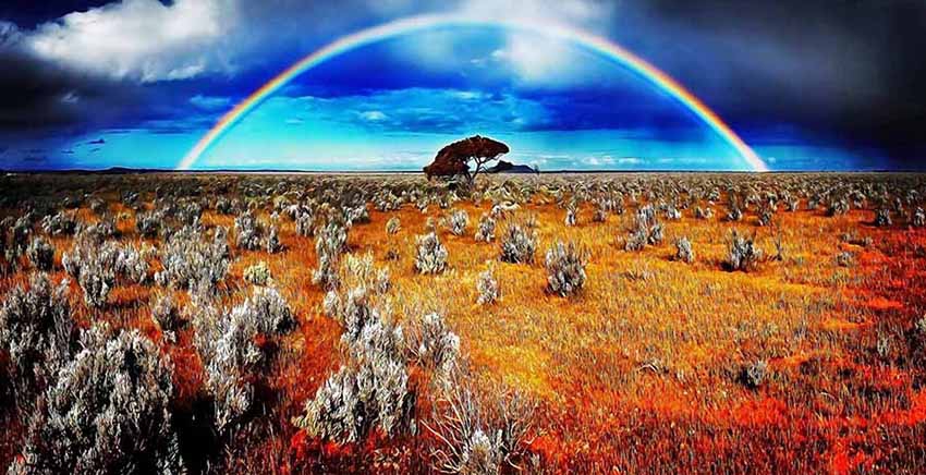 Landscape Canvas Wall Art Canvas Print
