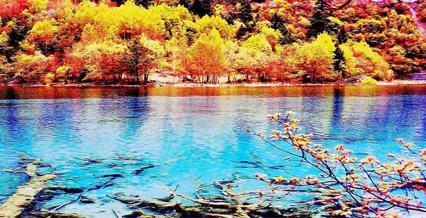 Landscape Canvas Wall Art Canvas Print