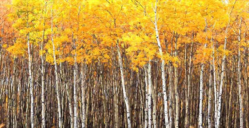 Canvas Wall Art Canvas Print