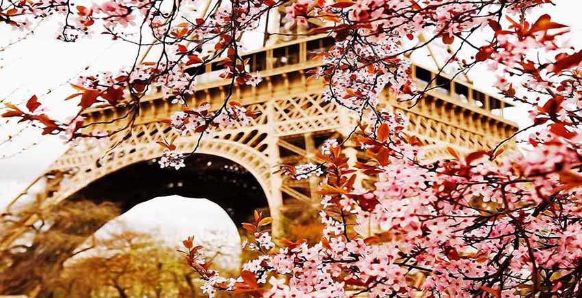 Canvas Wall Art Canvas Print Eiffel Tower Paris