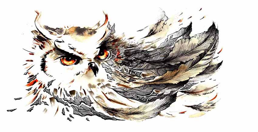 Canvas Wall Art Canvas Print Animal Owl