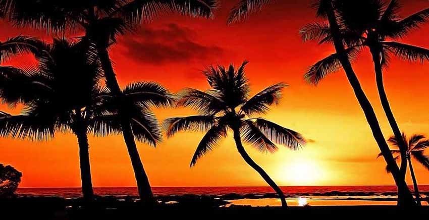 Sunset Canvas Wall Art Canvas Print