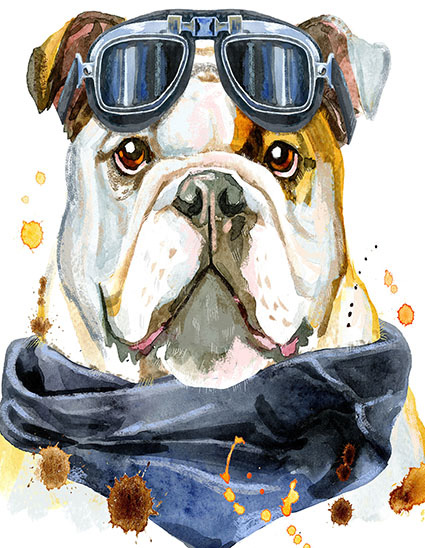 Regular Fit Printed T-Shirt Dog — image 6