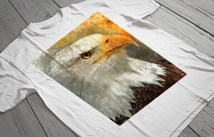 Regular Fit Printed T-Shirt Eagle