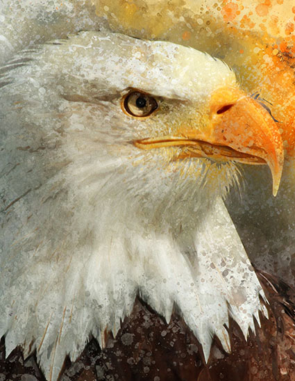 Regular Fit Printed T-Shirt Eagle — image 6