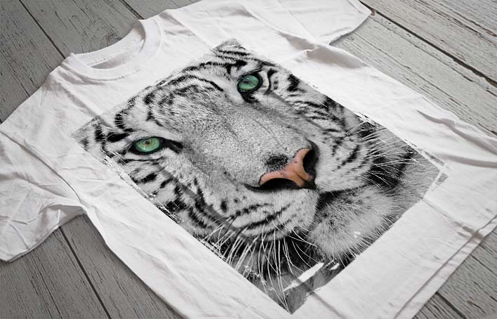 Regular Fit Printed T-Shirt Tiger