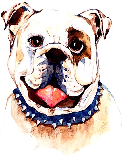 Regular Fit Printed T-Shirt Bulldog — image 6