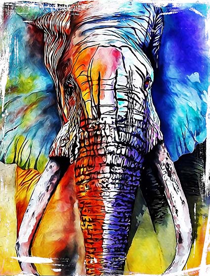 Regular Fit Printed T-Shirt Elephant — image 6
