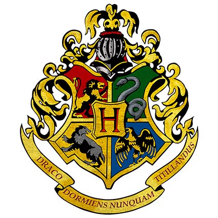 Regular Fit Printed T-Shirt Harry Potter — image 6
