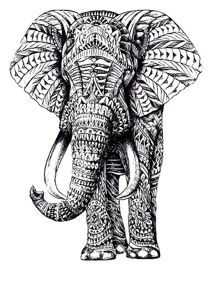 Regular Fit Printed T-Shirt Elephant — image 6