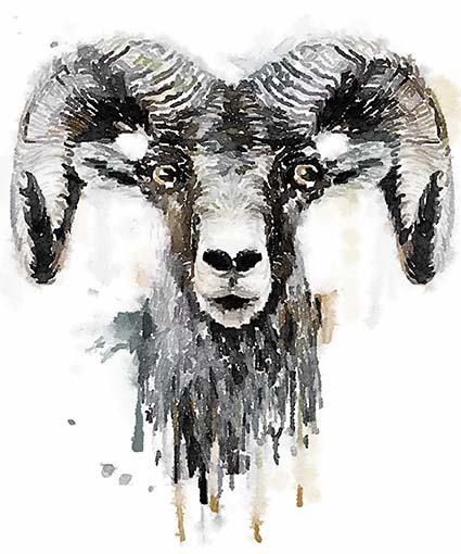 Regular Fit Printed T-Shirt Ram — image 6