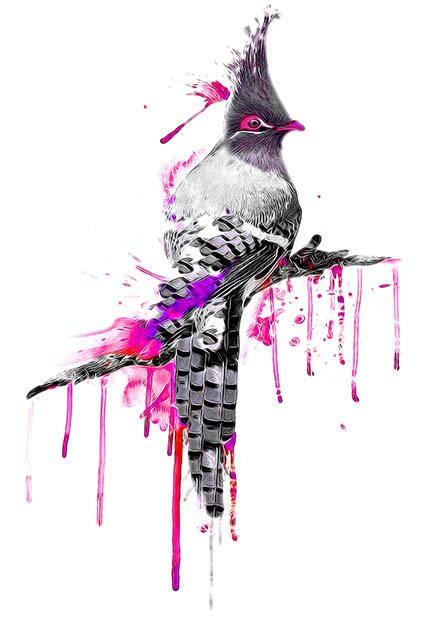 Regular Fit Printed T-Shirt Bird — image 6
