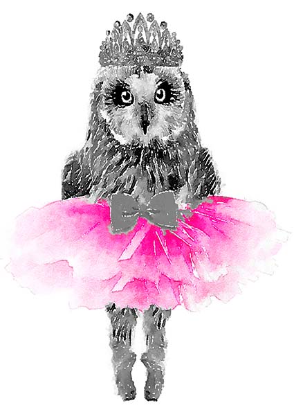 Regular Fit Printed T-Shirt Owl — image 6