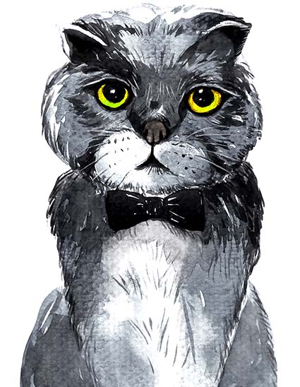 Regular Fit Printed T-Shirt Cat — image 6