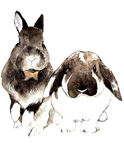 Regular Fit Printed T-Shirt Rabbits — image 6