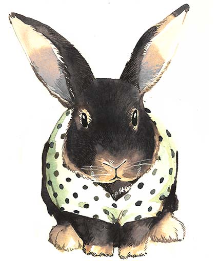Regular Fit Printed T-Shirt Rabbit — image 6