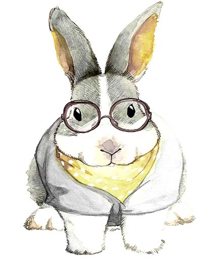 Regular Fit Printed T-Shirt Rabbit — image 6