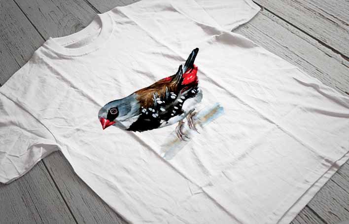 Regular Fit Printed T-Shirt Bird