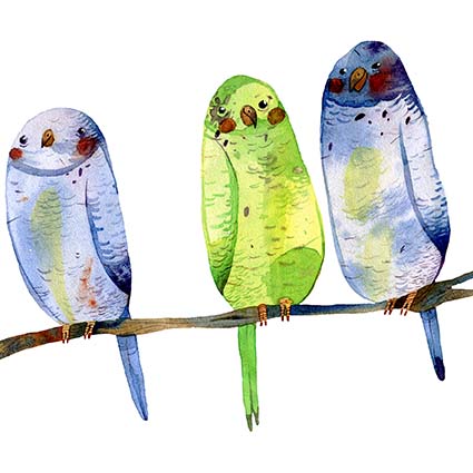 Regular Fit Printed T-Shirt Birds — image 6