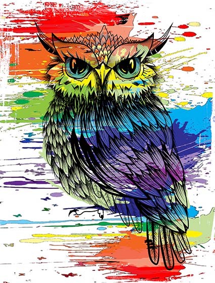 Regular Fit Printed T-Shirt Owl — image 6