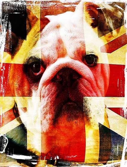 Sublimation Print Bulldog Mug — image 2