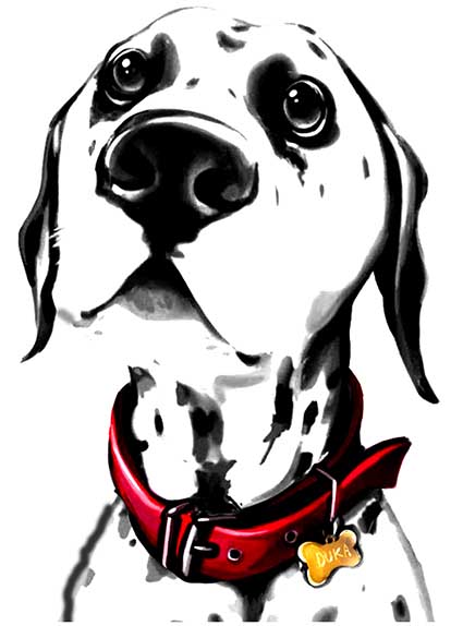 Sublimation Print Dalmation Dog Mug — image 2