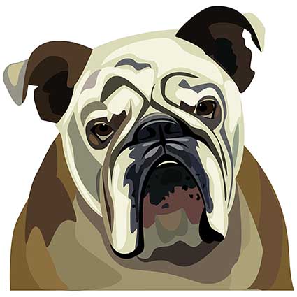 Cushion Cover Sublimation Print Bulldog — image 2