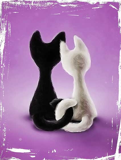 Cushion Cover Sublimation Print Cats — image 2