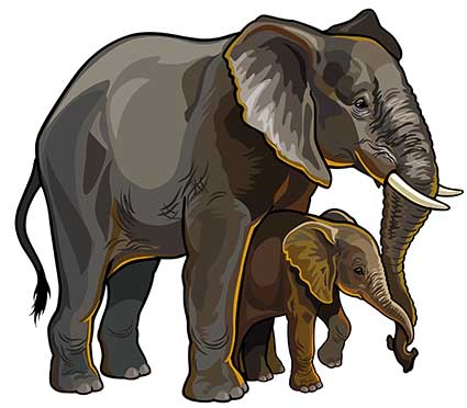 Regular Fit Printed T-Shirt Elephants — image 6
