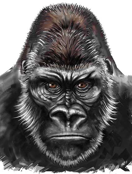 Regular Fit Printed T-Shirt Gorilla — image 6