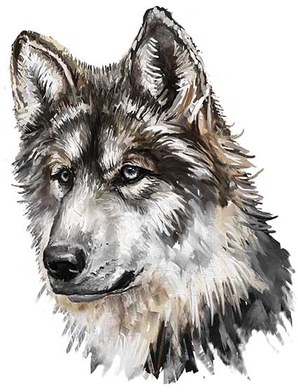 Regular Fit Printed T-Shirt Wolf — image 6