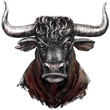 Regular Fit Printed T-Shirt Bull — image 6
